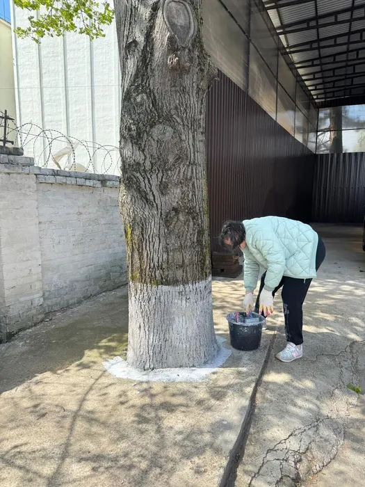 Суботник 3