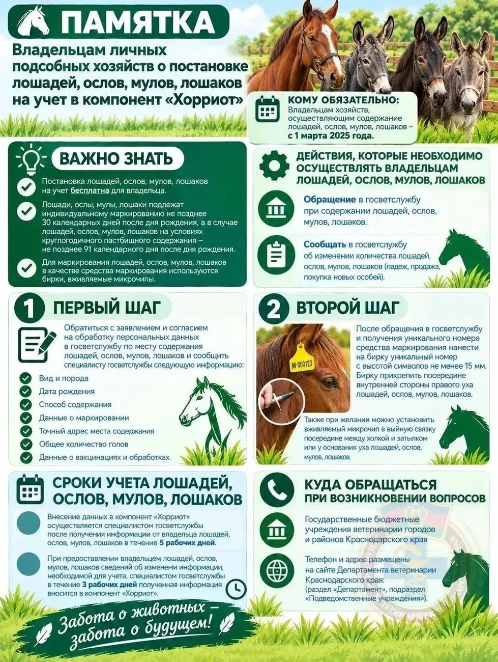 Лошади