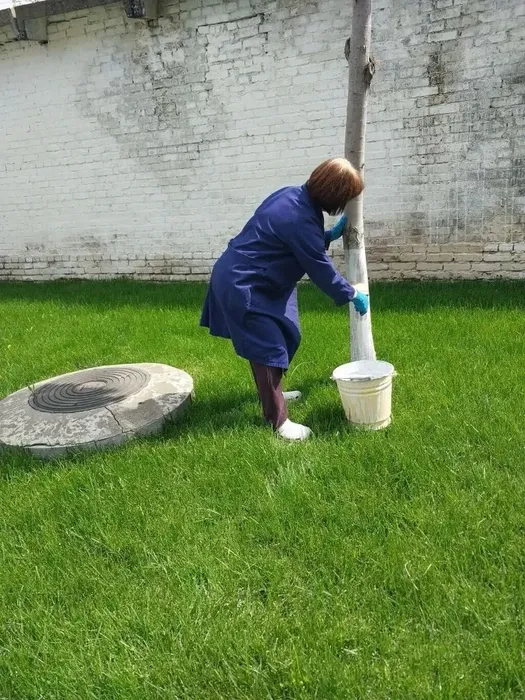 Суботник 5